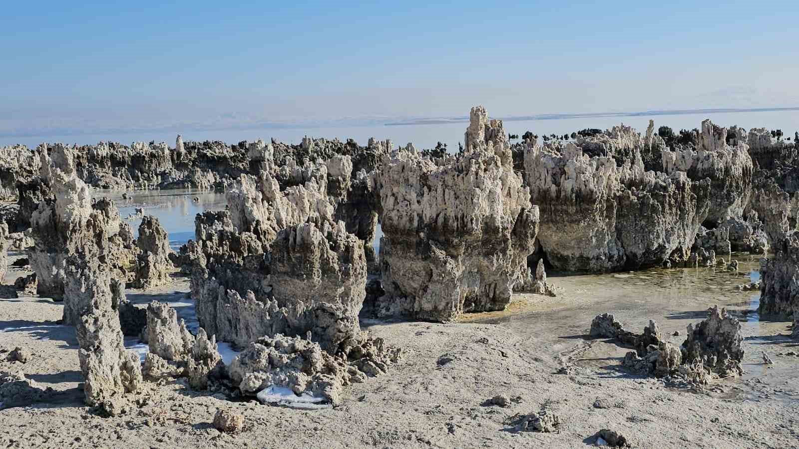 Van Gölü’nde korkutan tablo!