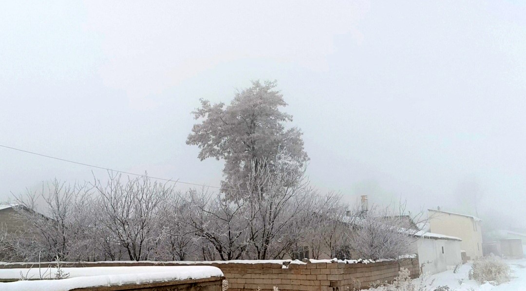 Van’da dondurucu soğuklar yaşanıyor, ağaçlar kırağı tuttu