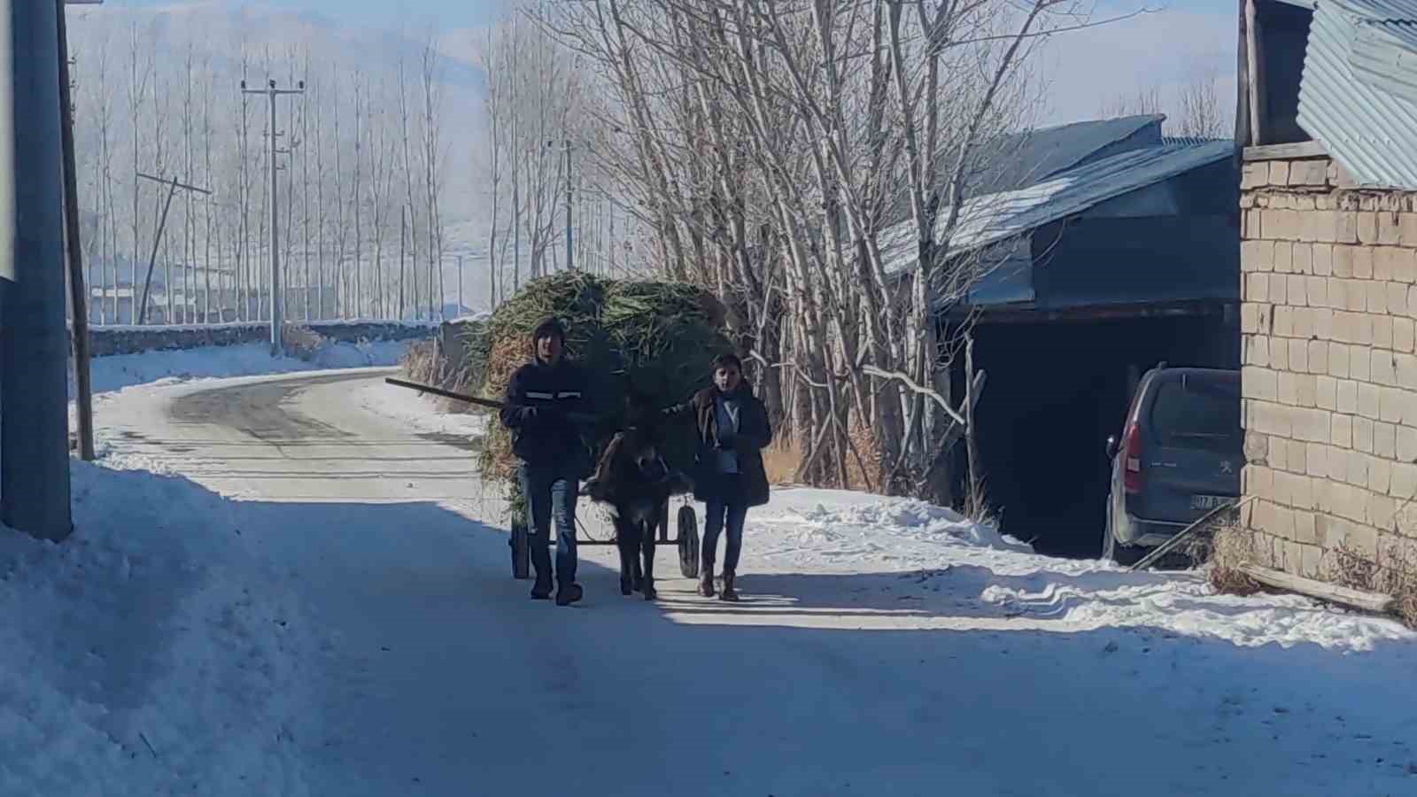 Vanlı  besicilerin kış mesaisi sürüyor