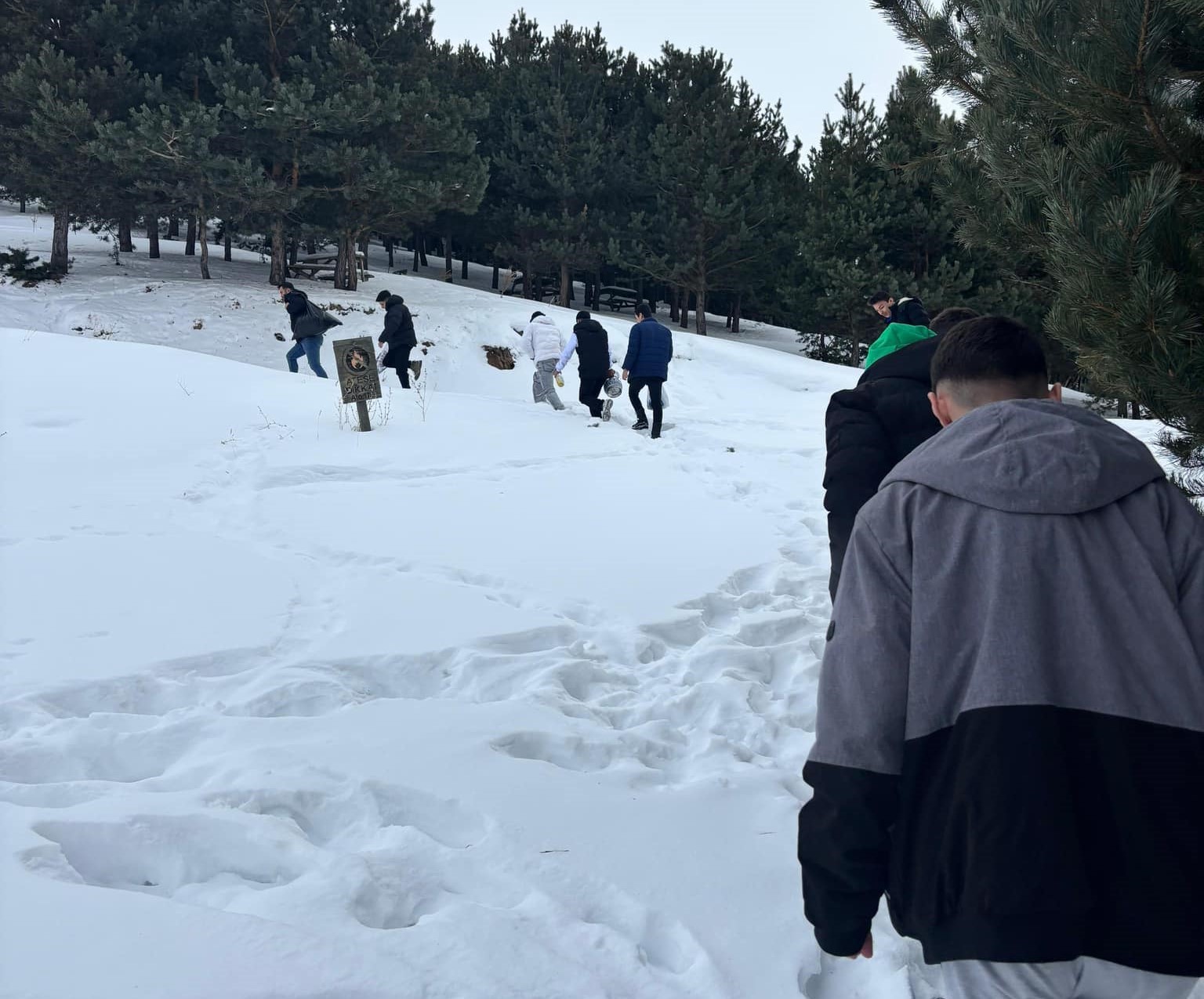 Yaban hayatına destek olmak için, doğaya yem bıraktılar