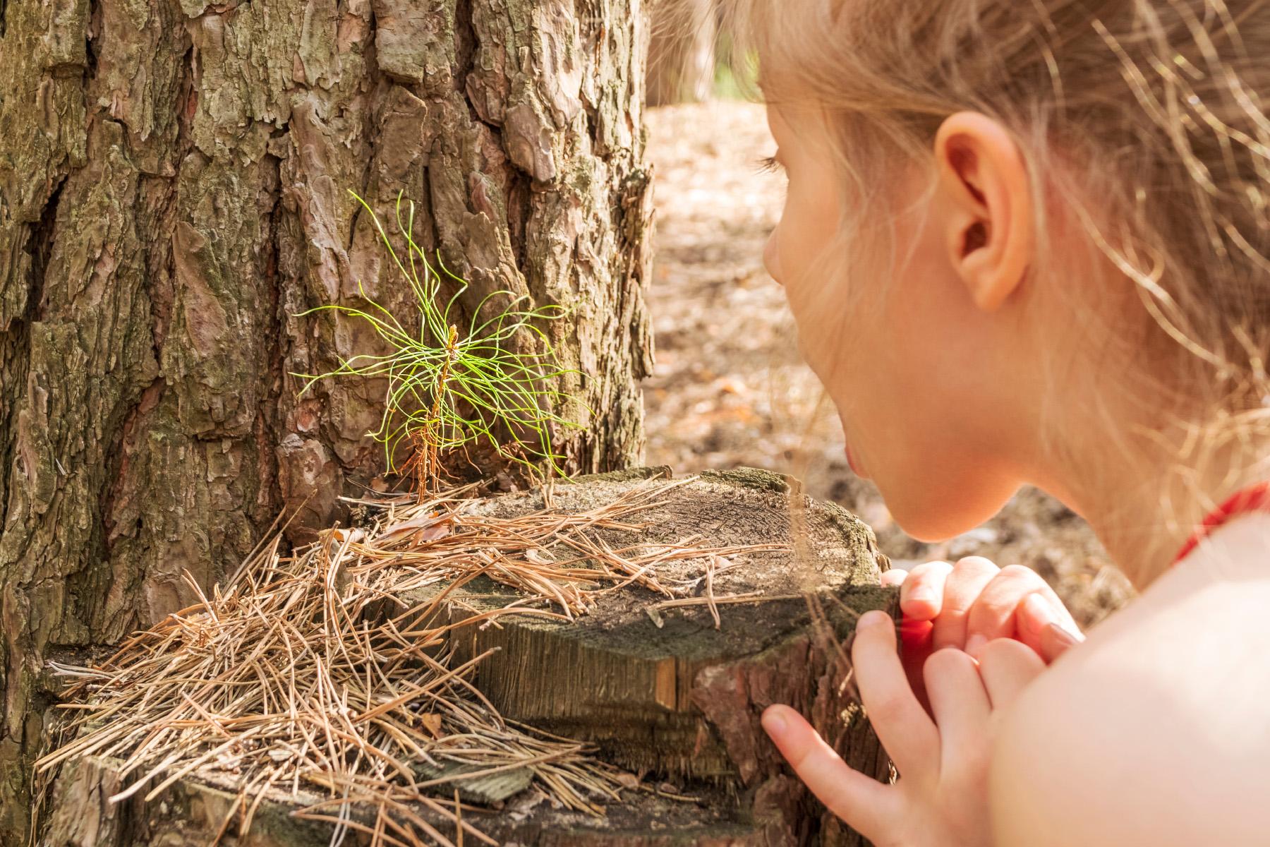 Bunları Biliyor Muydunuz? Şaşırtıcı ve İlginç Bilgiler
