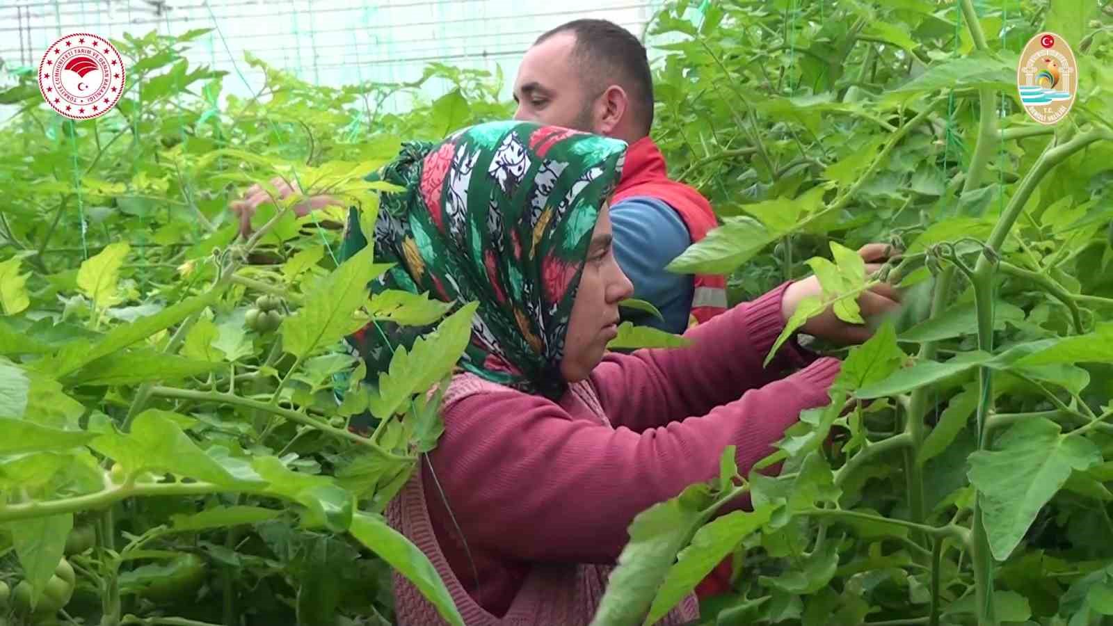 Çiftçiye 1 milyar 241 milyonluk can suyu