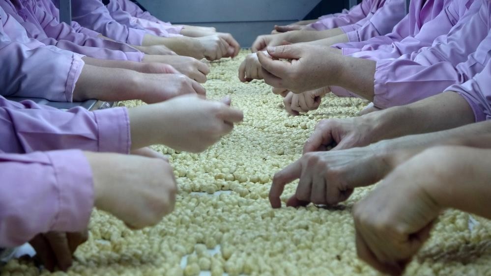 AB ülkelerine 2 bin 416 ton fındık ihraç edildi