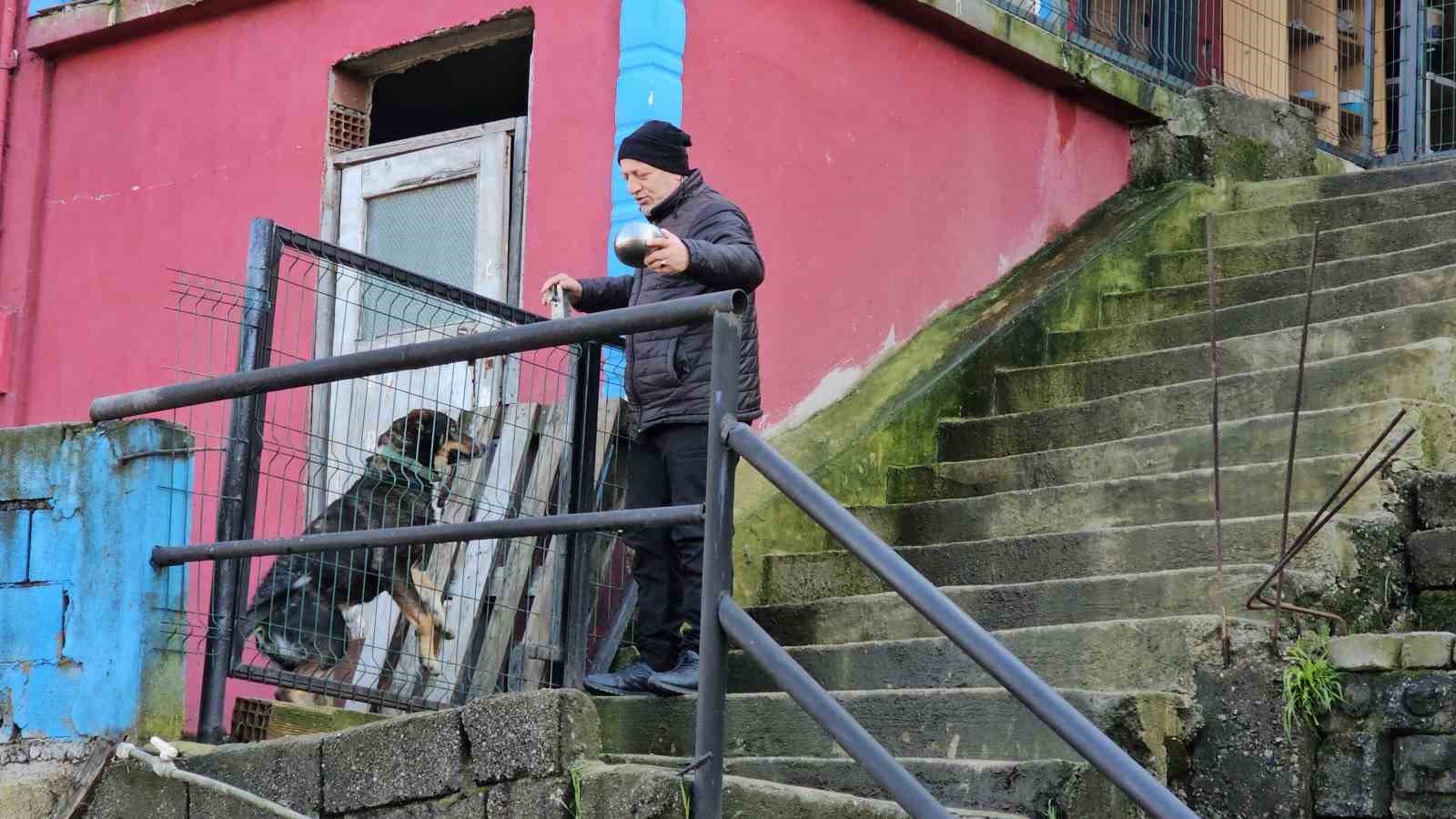 Köpeğin vefası herkesi duygulandırdı