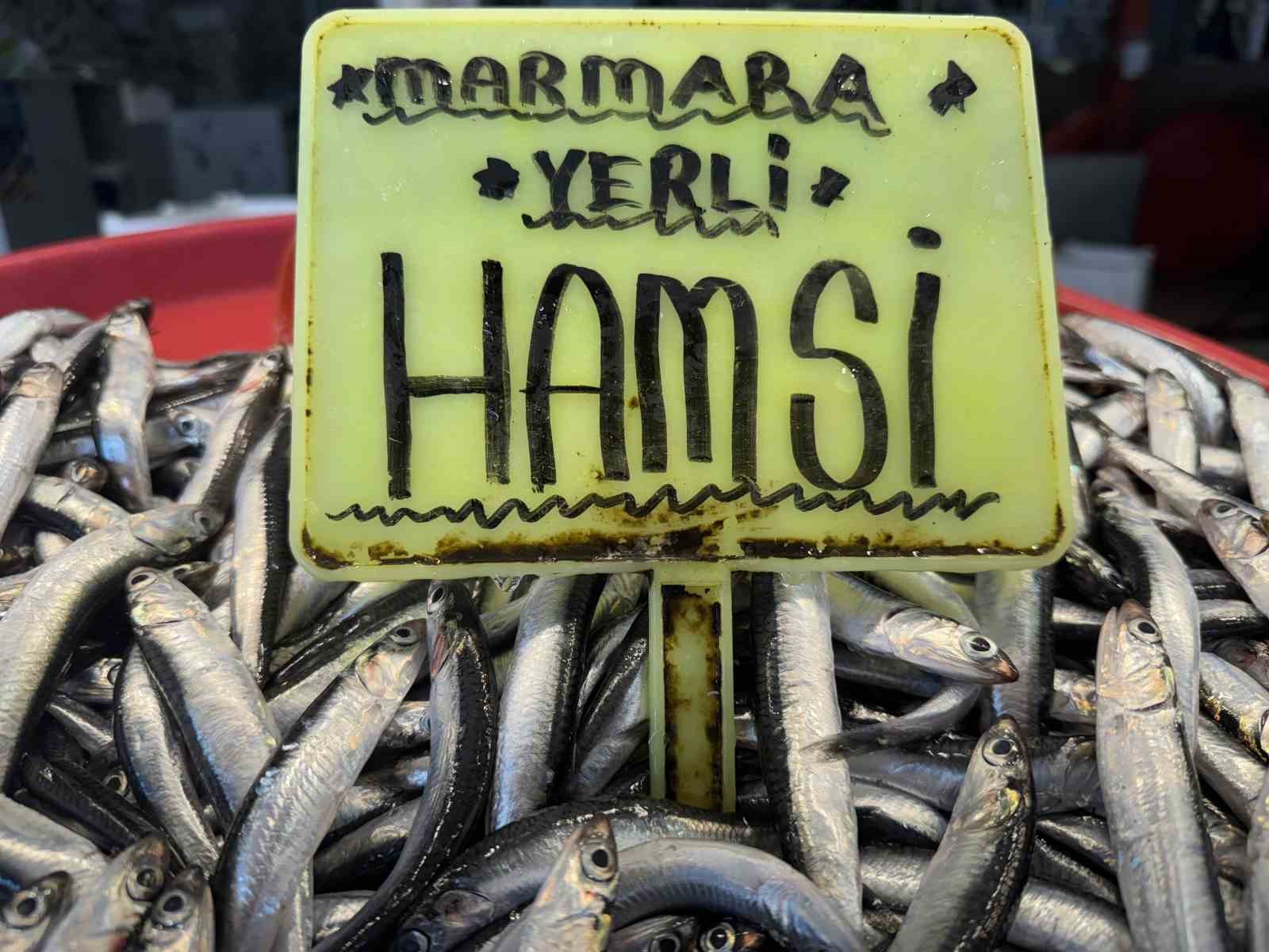 Hamsi 400 TL, sardalya 200 TL