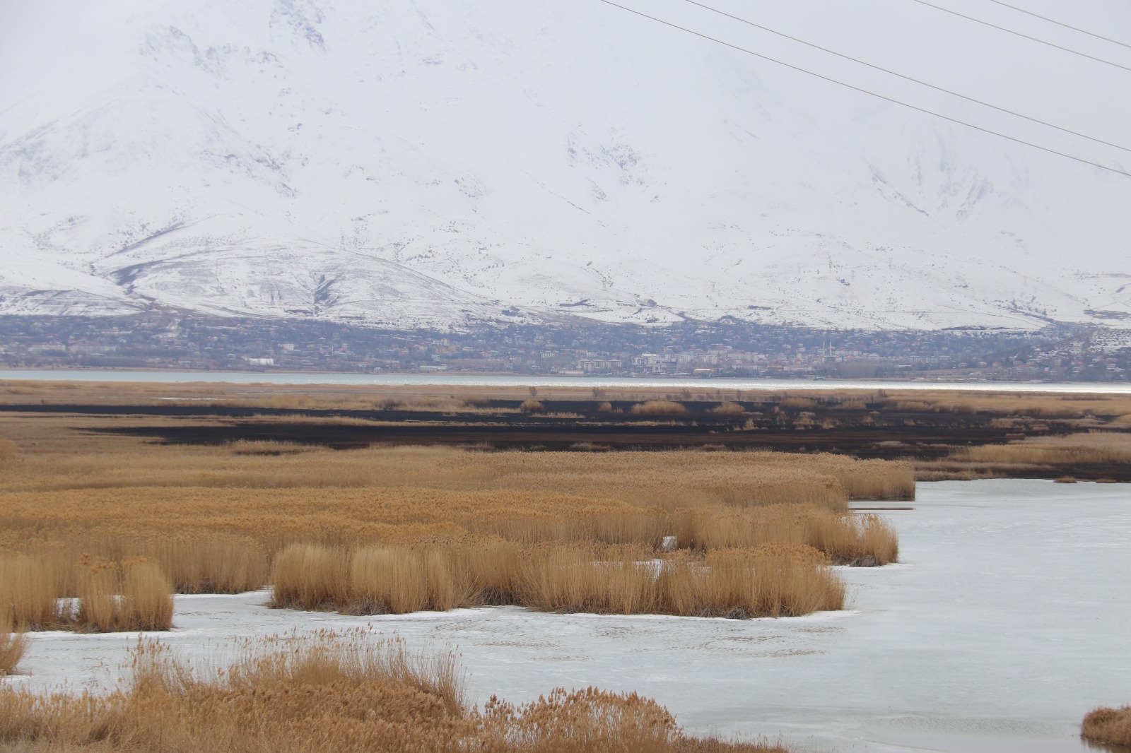 Van’da yabani hayata ev sahipliği yapan Dilkaya sazlıklarında yangın