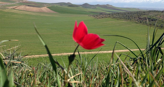 Birinci Cemre Ne Zaman Düşecek?