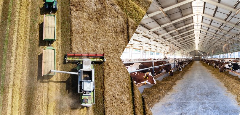 Üreticilere 986 milyon liralık destek