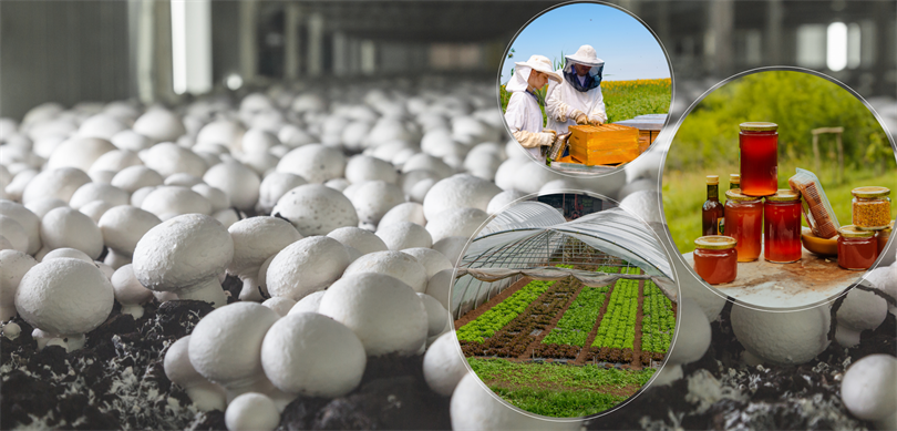 “IPARD III Programı” kapsamında 461 milyon lira hibe ödenecek