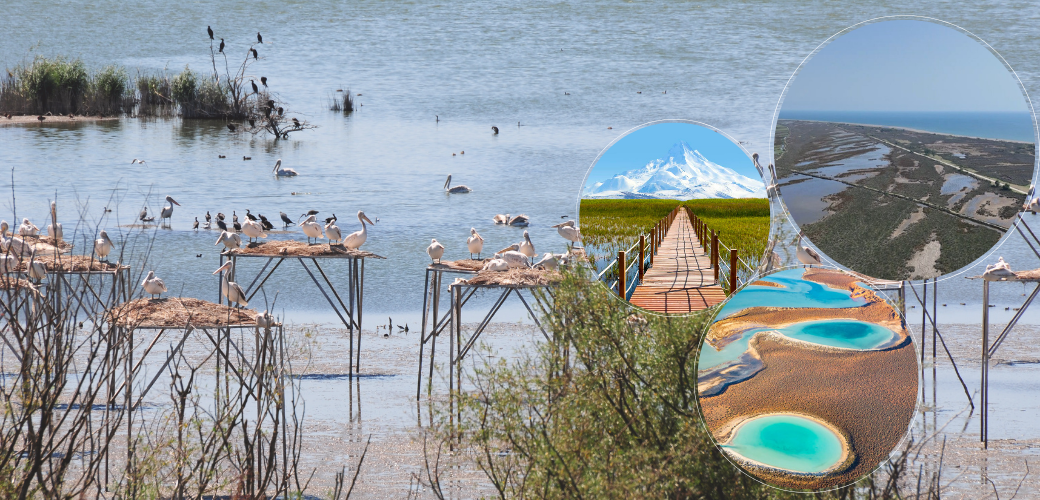 Türkiye’de 131 sulak alan koruma altında