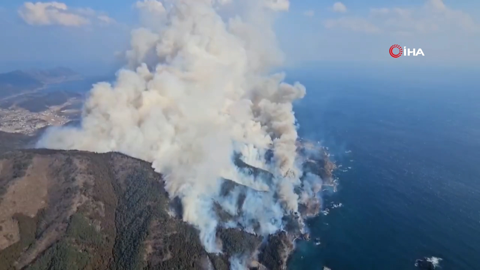 Japonya’daki orman yangınında 600 hektar alan kül oldu