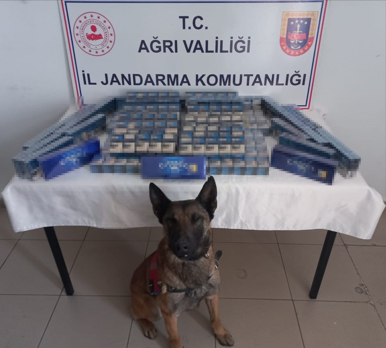Ağrı’da 6 bin 548 paket kaçak sigara ele geçirildi