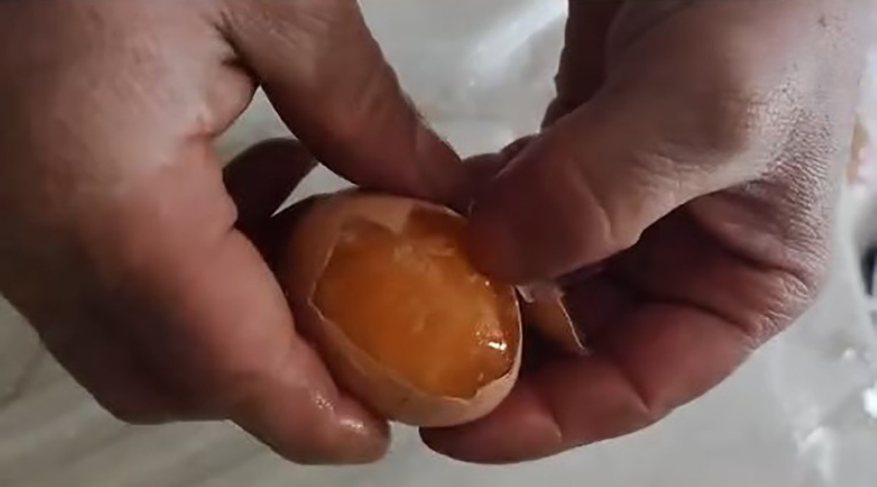 Yumurtalar soğuktan dondu