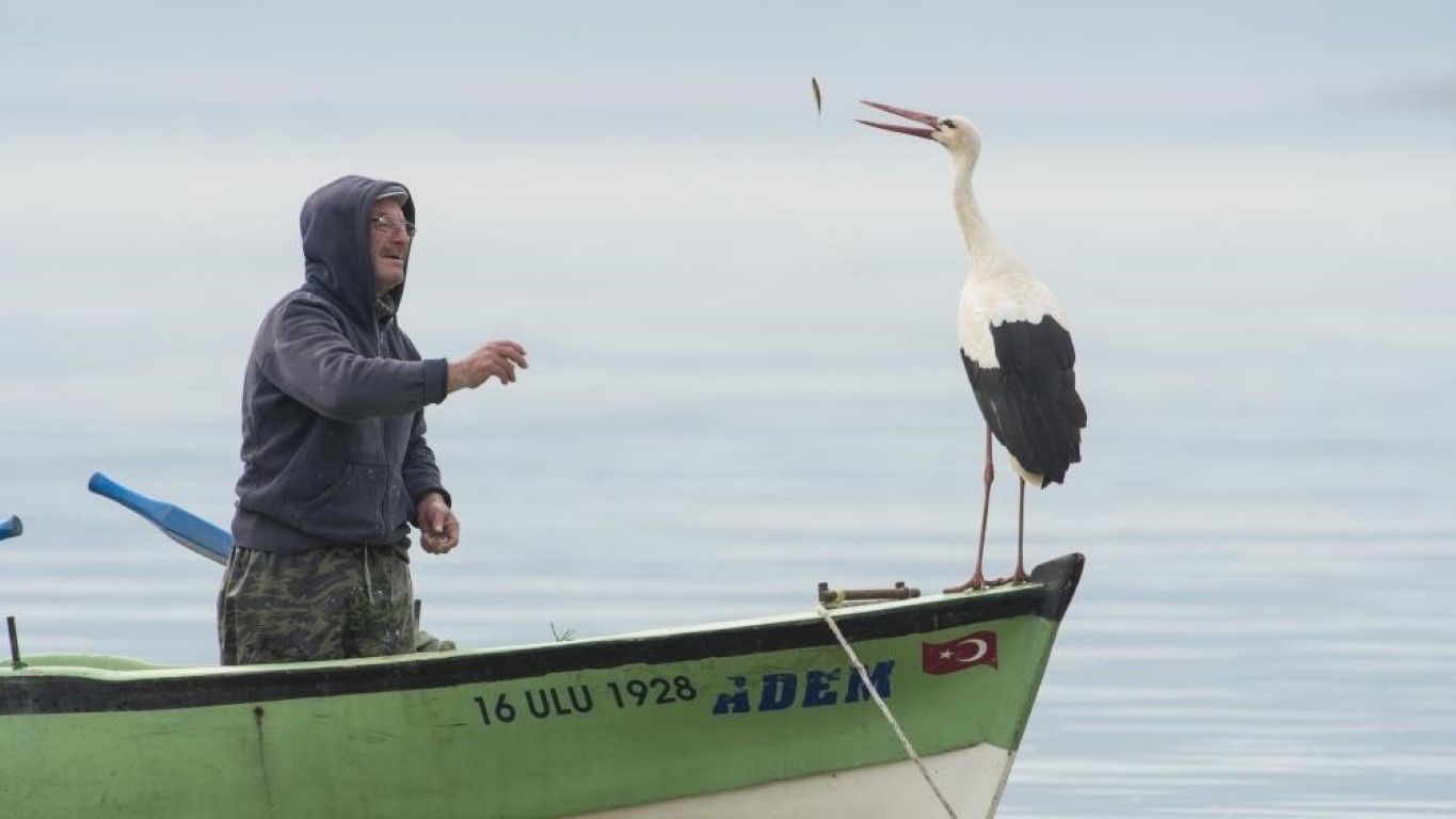 Yaren leylek için gözleri hem ufukta hem yuvada…