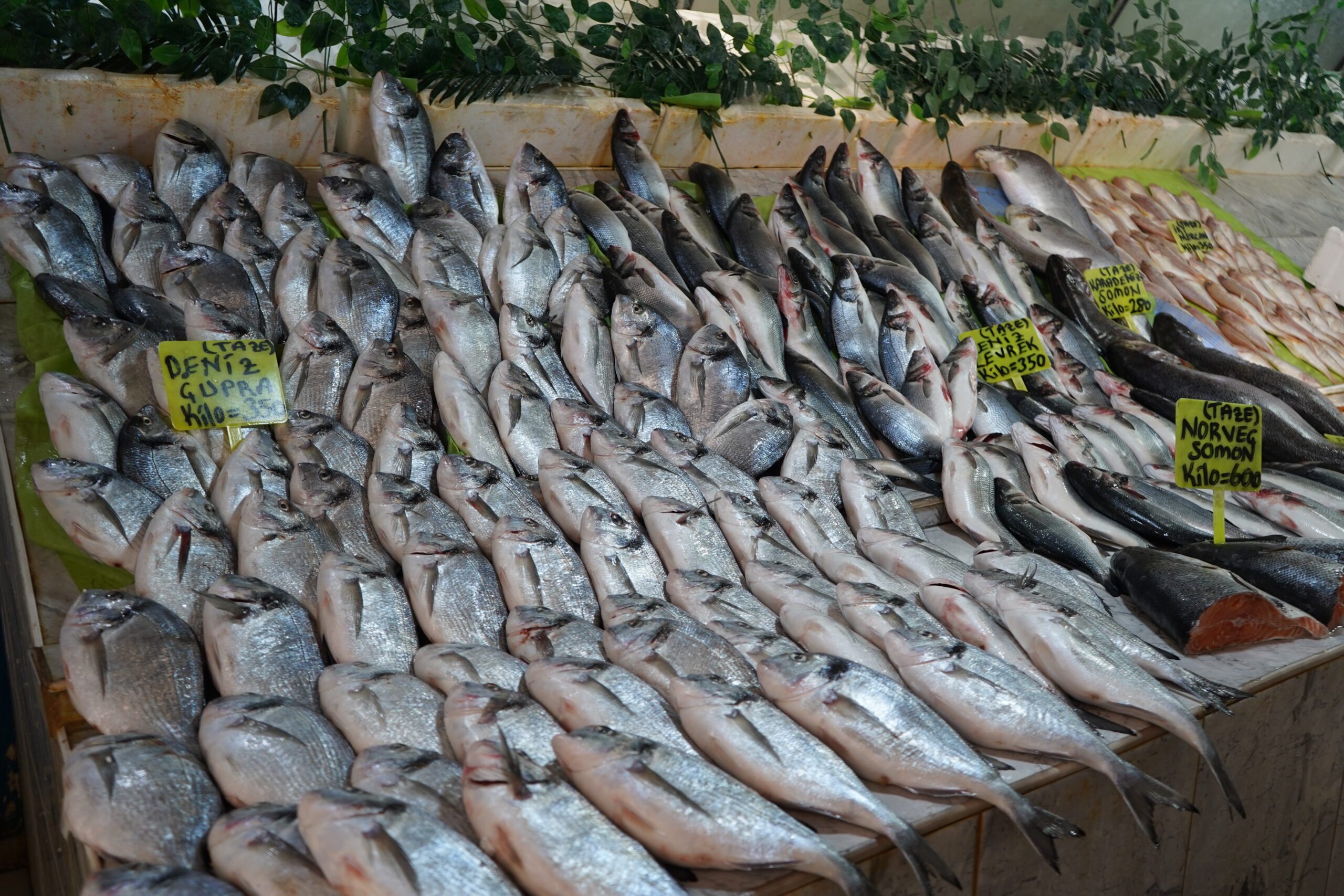 Van’da yağışların az olması balıkçıları olumsuz etkiledi