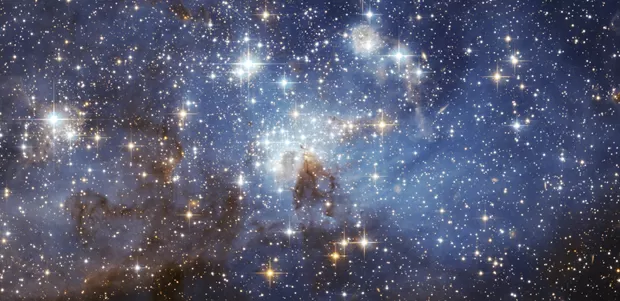 Bunları Biliyor muydunuz? Şaşırtıcı 5 gerçek