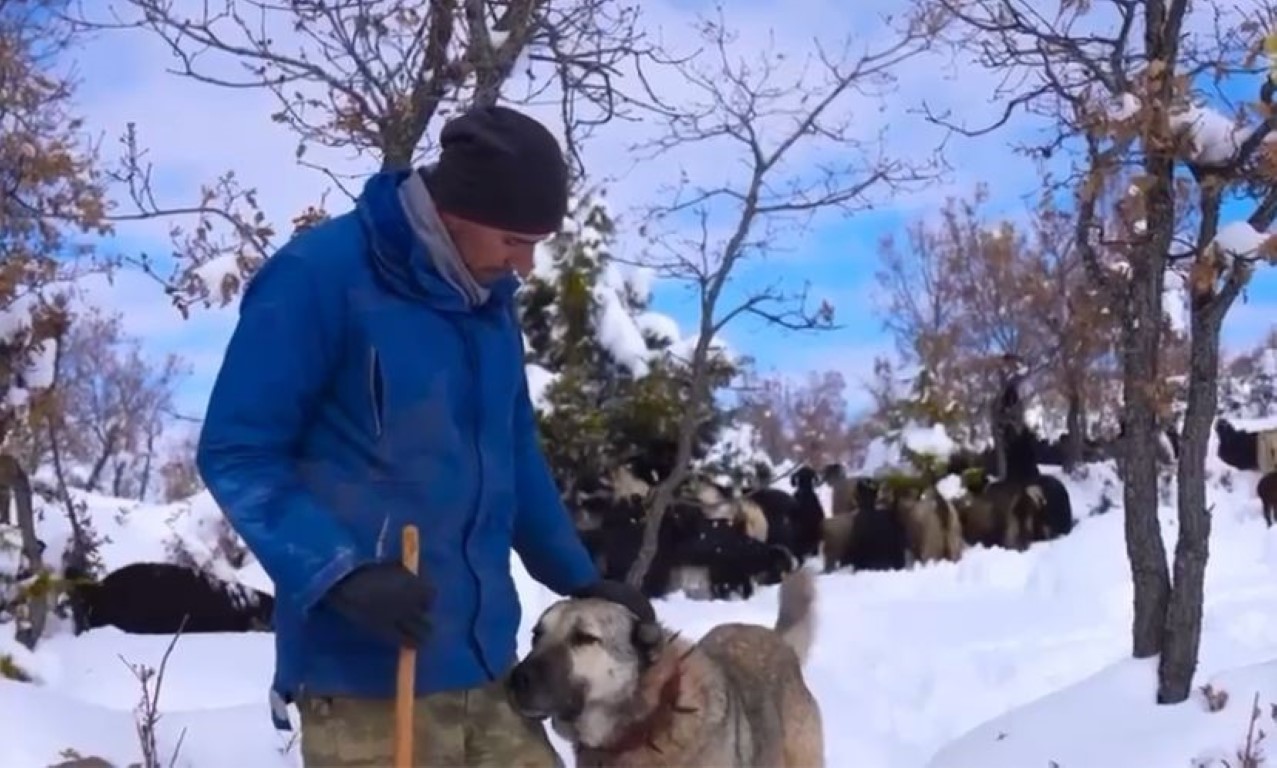 Bir çok meslek denedi, en sonunda çobanlığı seçti