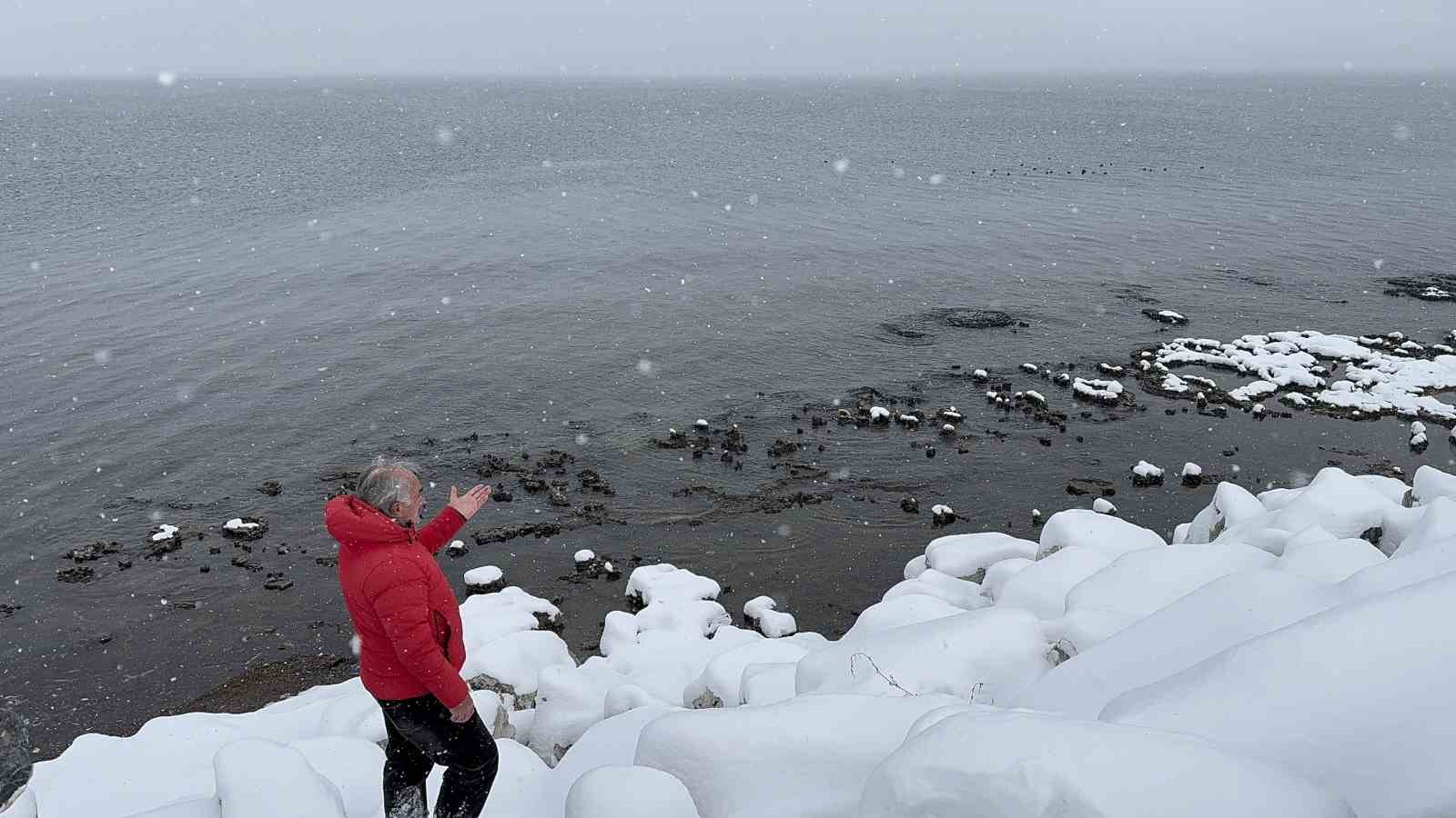 Dondurucu soğuğa aldırmadan Van Gölü’nde yüzdü