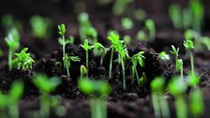 Şehir peyzajlarına yeni standartlar geliyor  