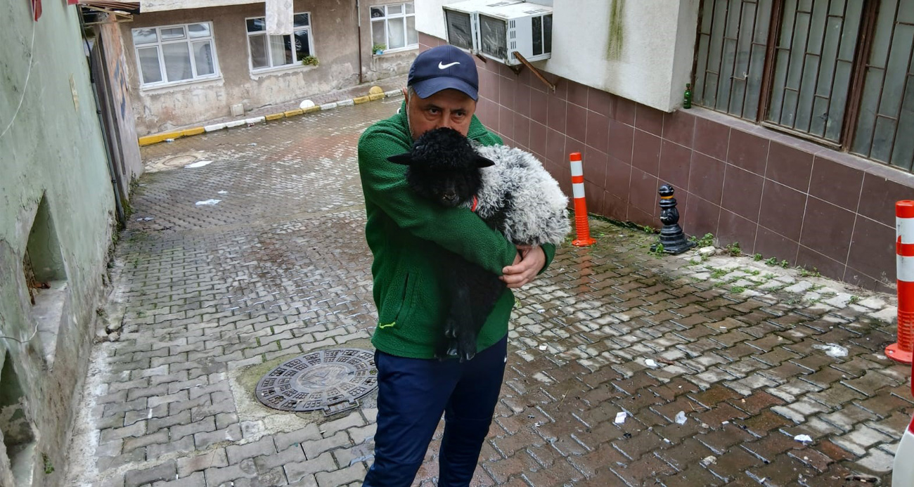 Sahiplendiği kuzuyla şehrin fenomeni oldu