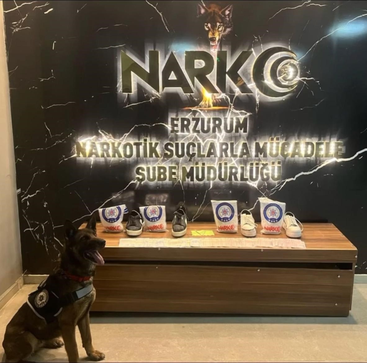 Narkotik Köpekleri affetmedi