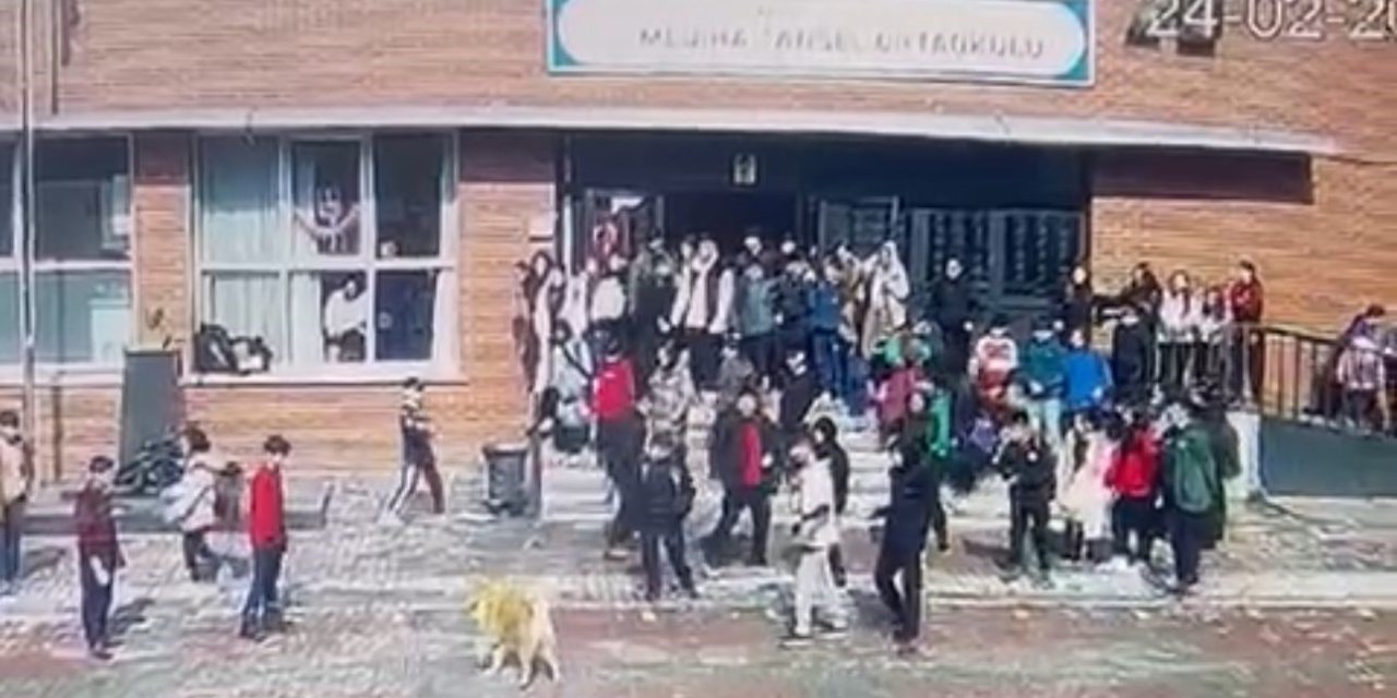 Okul bahçesinde köpek dehşeti: 5 öğrenciyi ısırdı