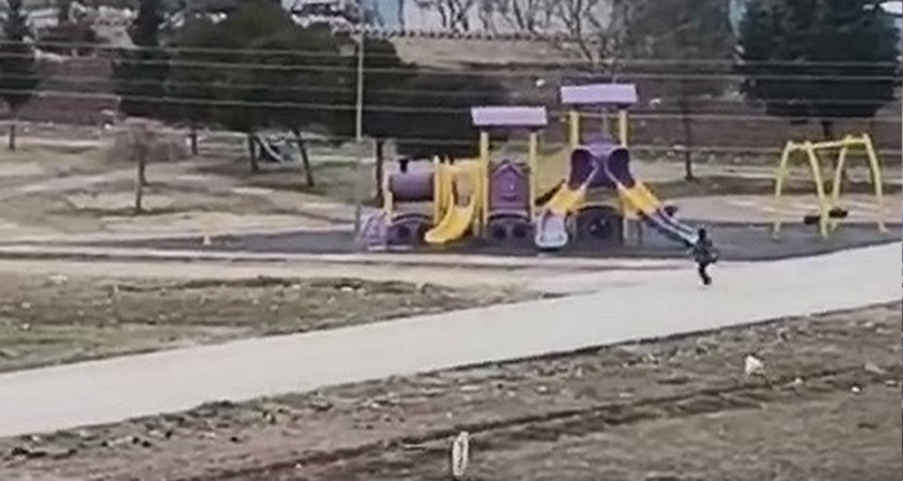 Bir köpek dehşeti daha!