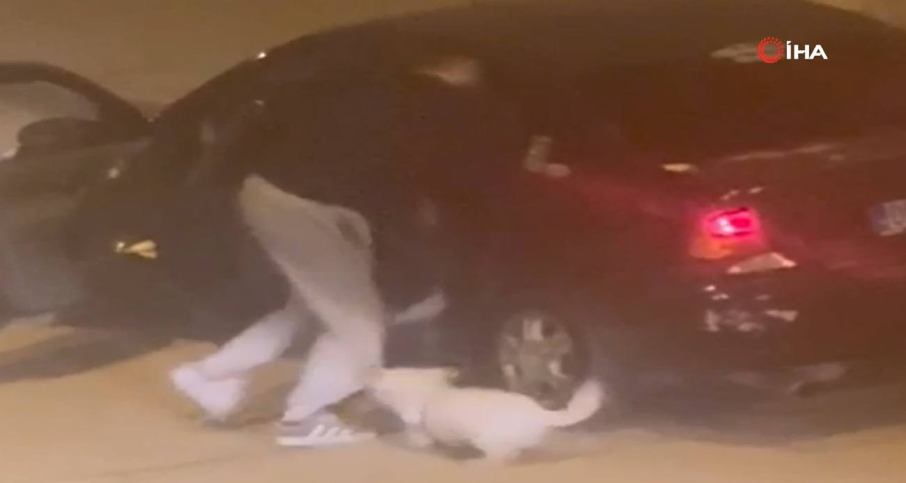 Ankara’da dehşet anları kamerada: Genç kıza ve köpeğine saldırdı