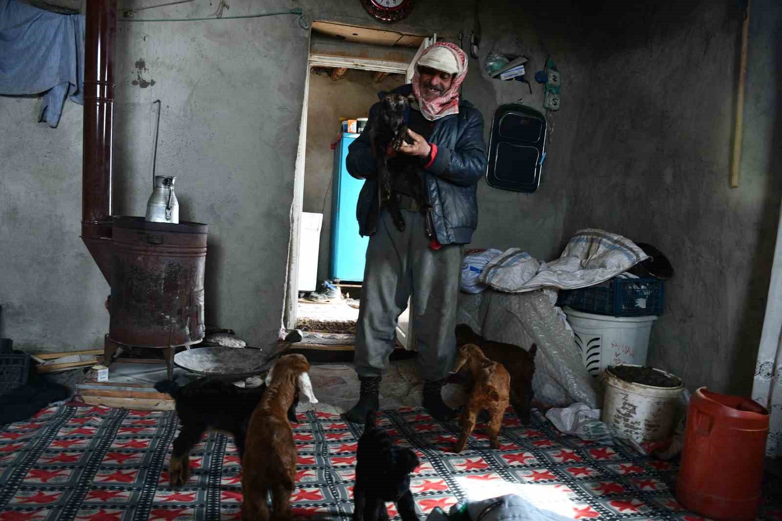 Vanlı besici, 9 yıldır yaylada hayvanlarıyla yaşıyor