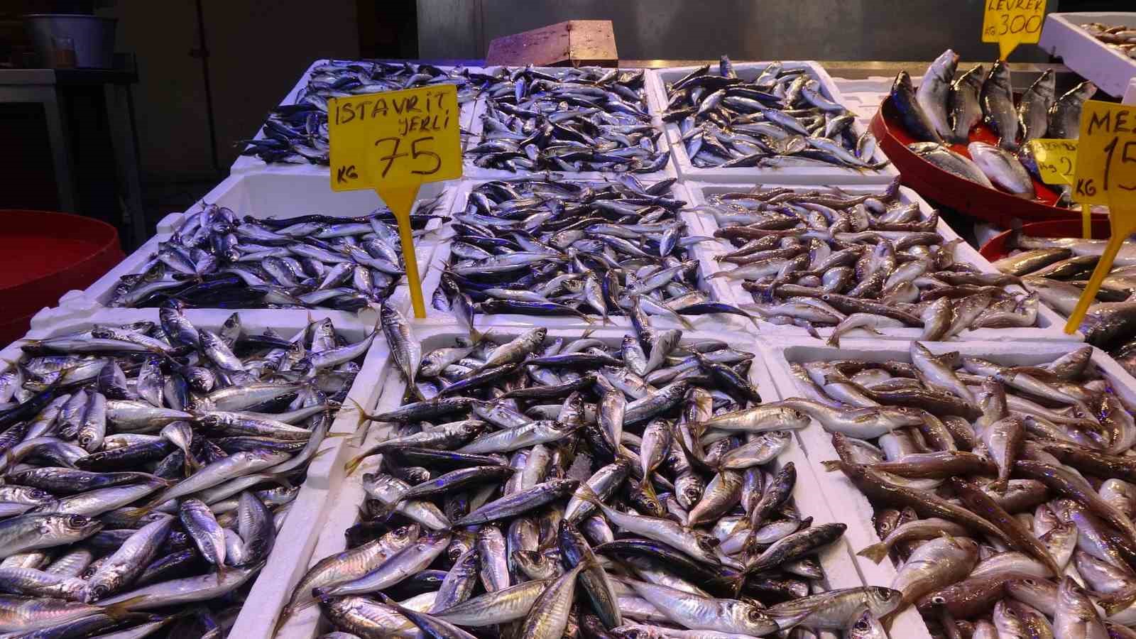 1 Eylül’de başlayan balık avı sezonu 15 Nisan’da sona erecek