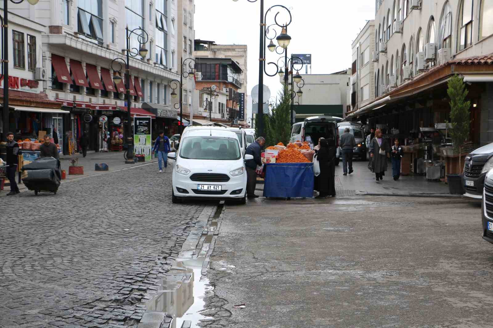 Diyarbakır’da tarihi mekanlardaki başıboş köpekler tedirgin ediyor