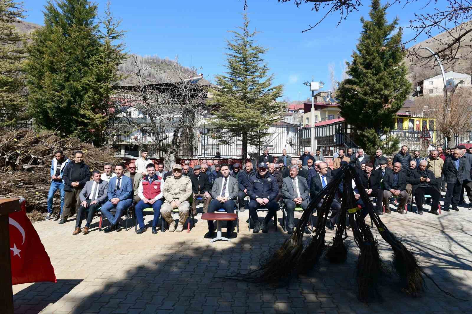 Çatak’ta çiftçilere yüzde 80 hibe ile fidan dağıtımı yapıldı