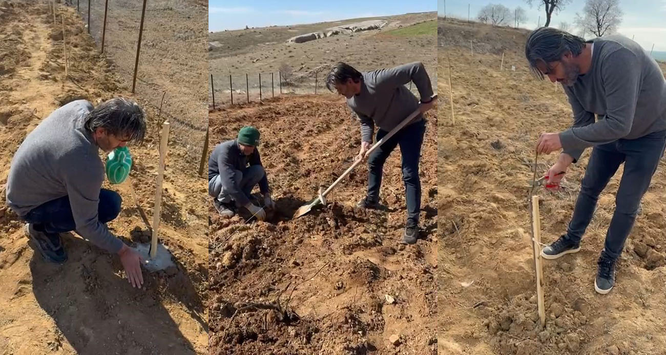 Avukatın şehirden köye kaçış hikâyesi