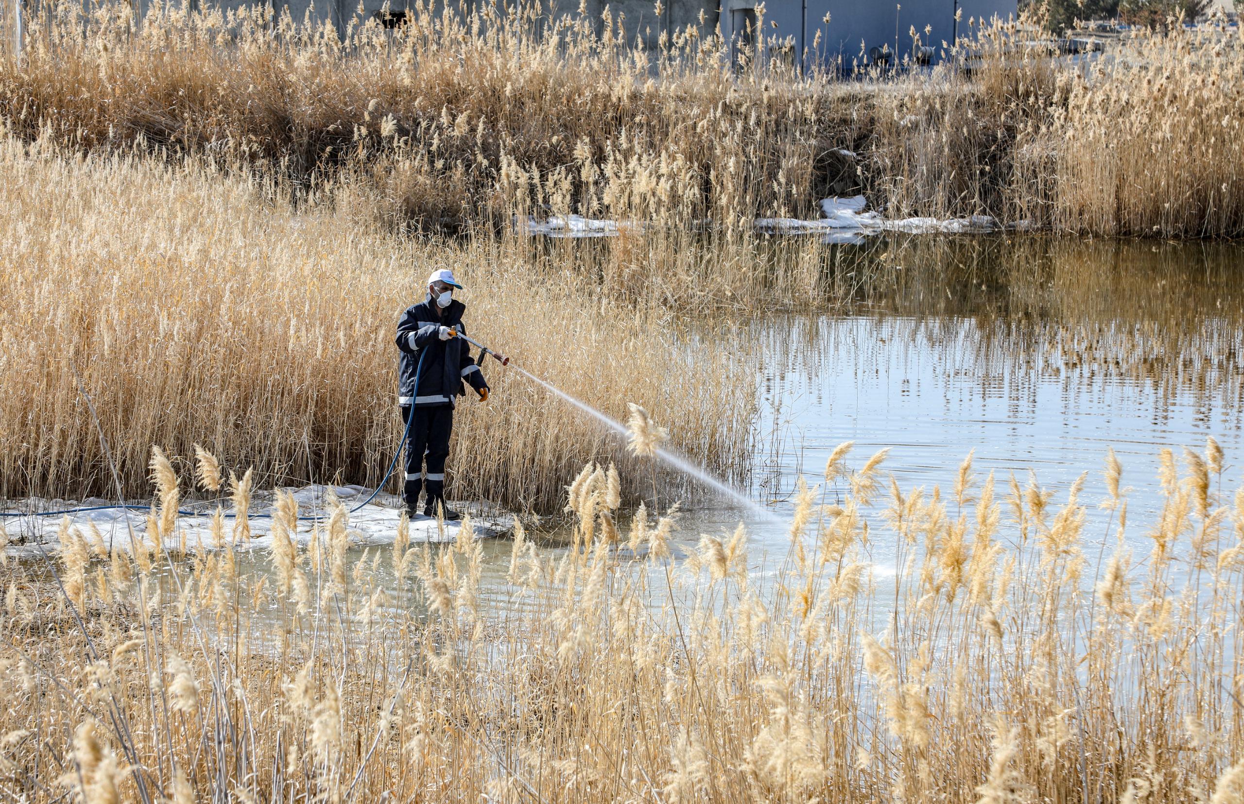 Van’da vektörle mücadele çalışmaları başladı