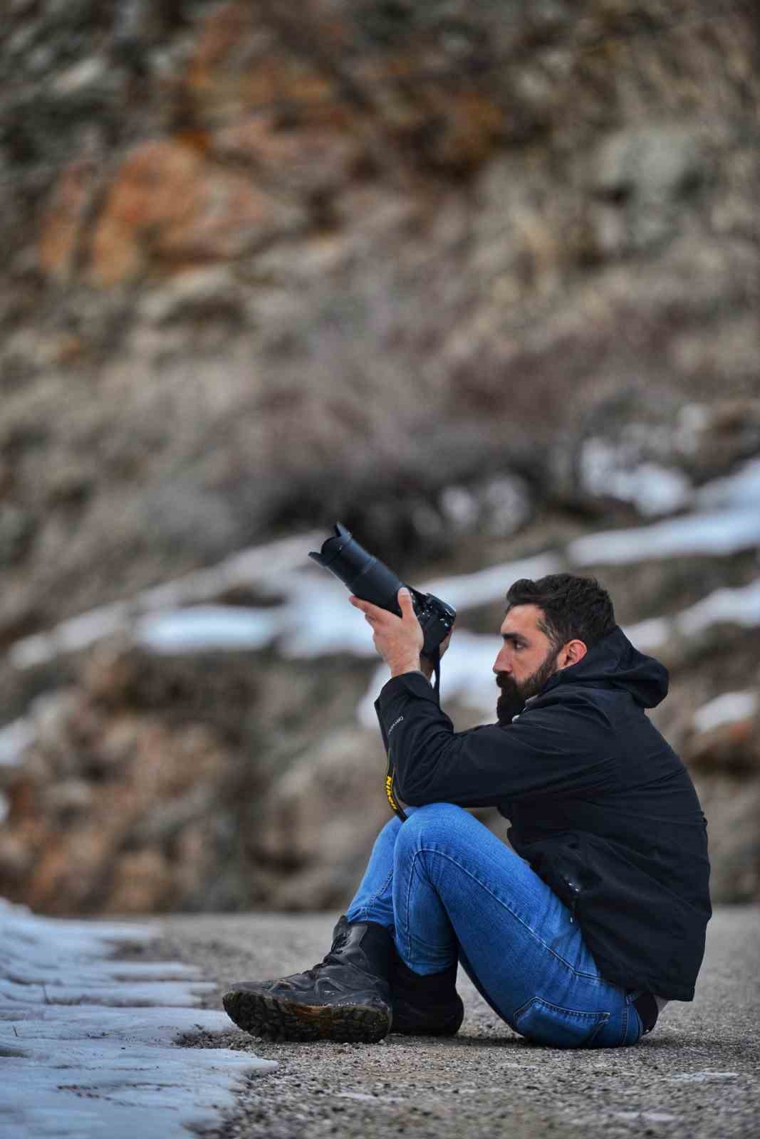 Doğa fotoğrafçısı, koruma altındaki vaşağı yakından görüntüledi