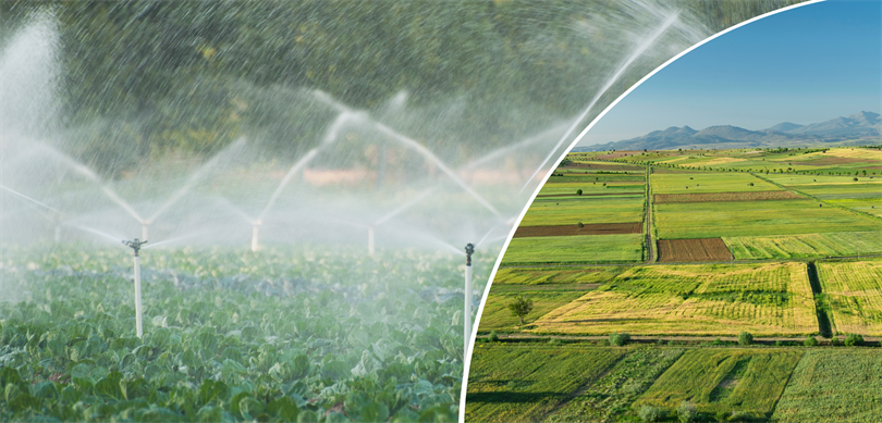 Çiftçilere 2,6 milyar liralık destek ödemesi!