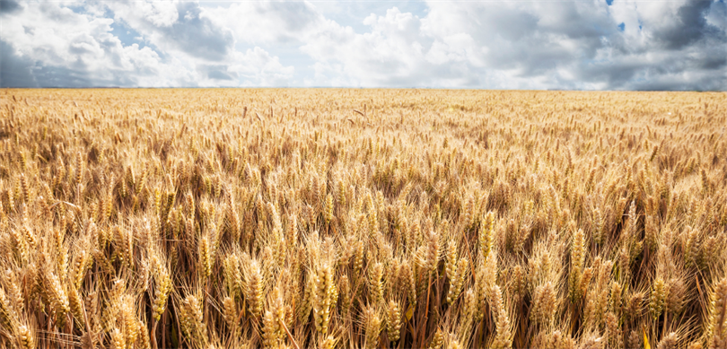 Çiftçilere 2 milyar 789 milyon destekleme ödemesi!