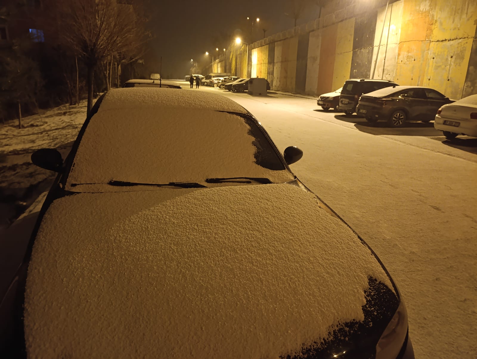 Van’da kar yağışı etkili oldu