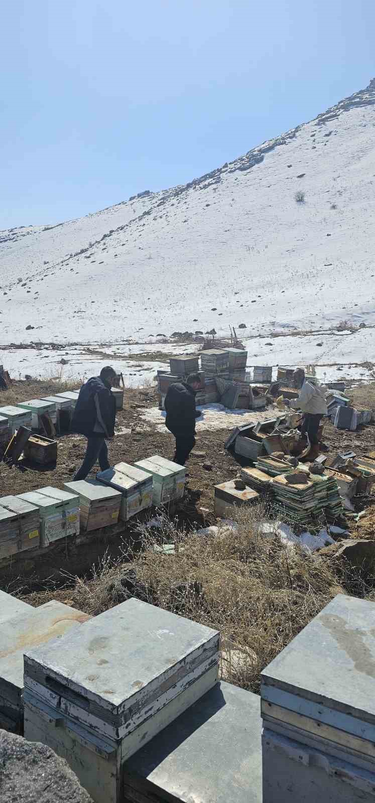 Soğuk havalar nedeniyle Van’da 100 kovan arı telef oldu