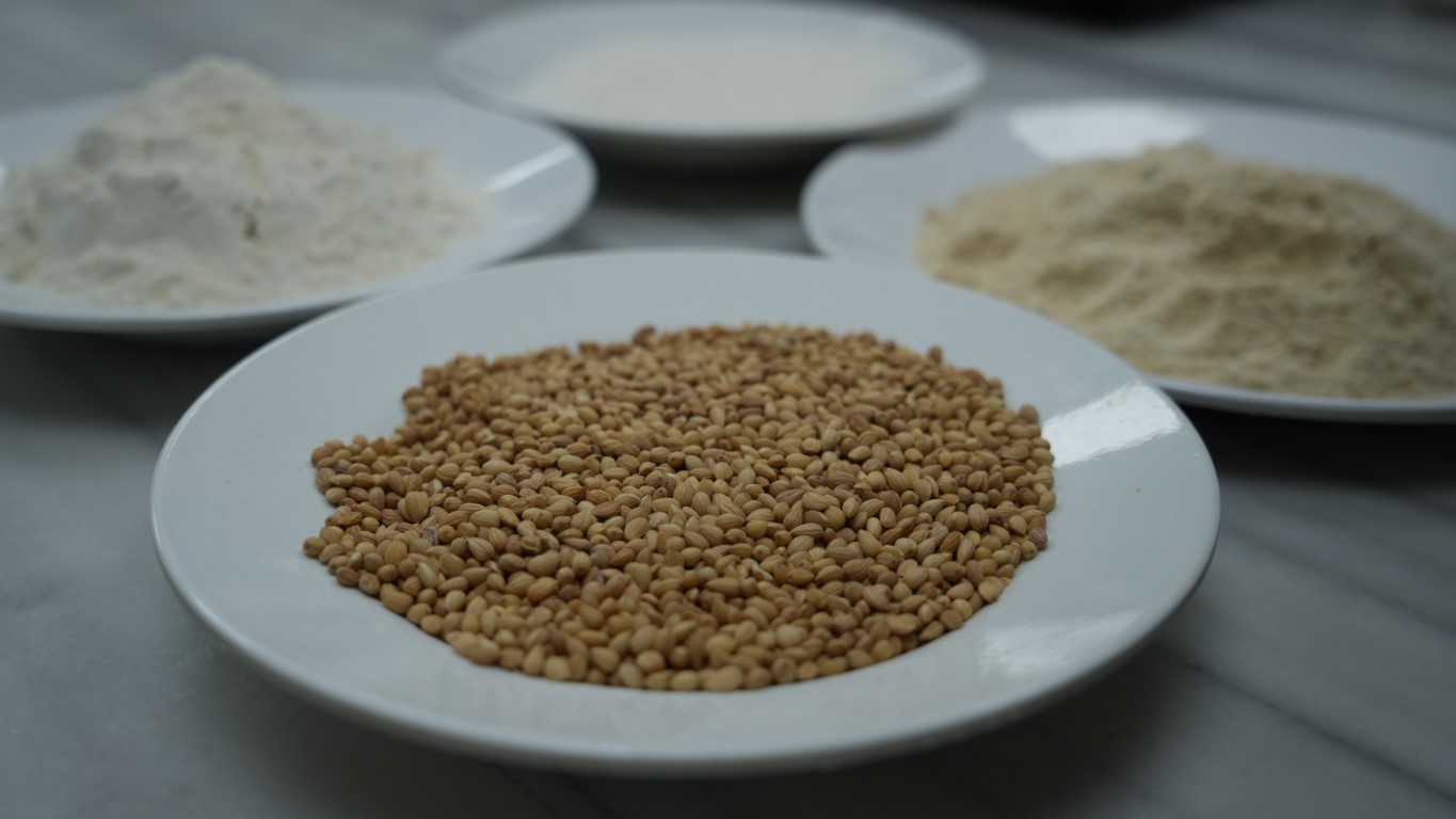 Halep kahkesi mesaisi başladı