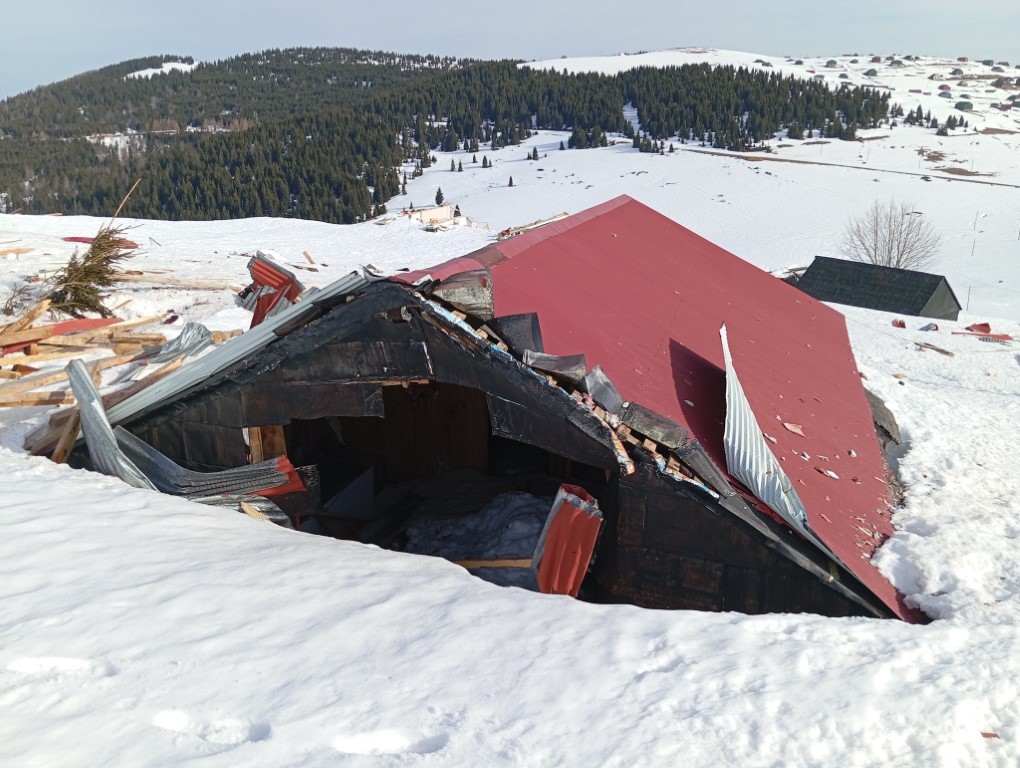Ayılar yayla evlerini talan etti