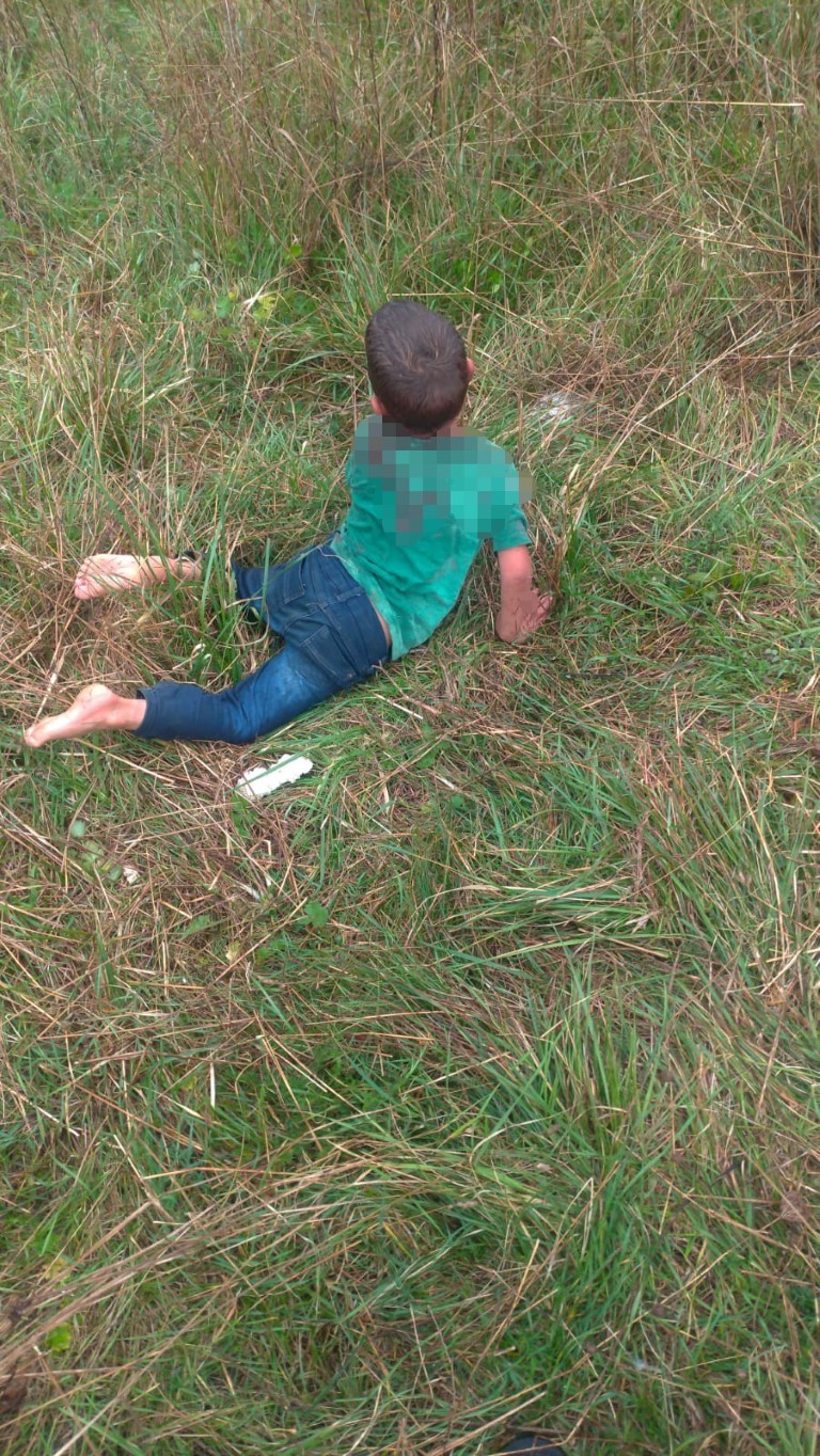 Yalova’da dehşet! 5 yaşındaki çocuğu köpeklerin ağzından zor aldılar