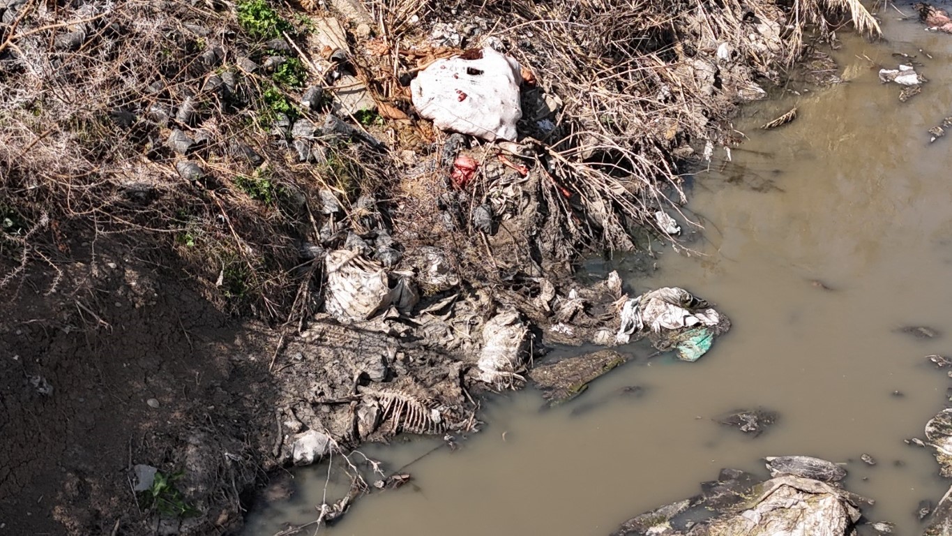 Dere yatağı at ve eşek atıklarıyla dolu