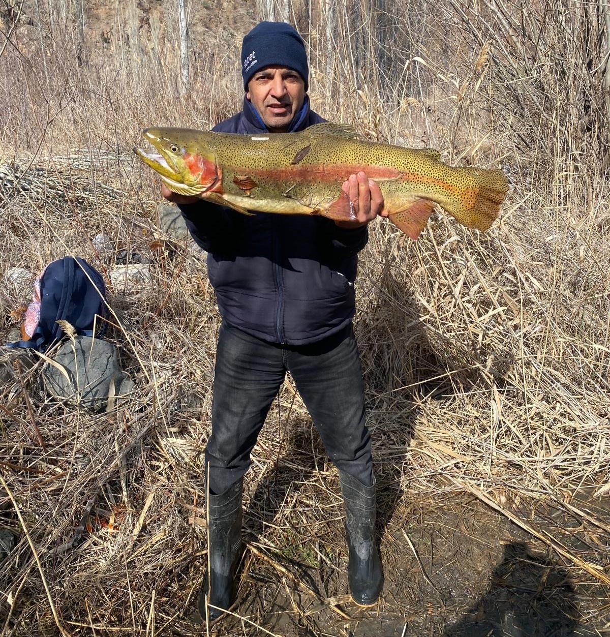 Balıkçının yakaladığı dev somon şaşırttı
