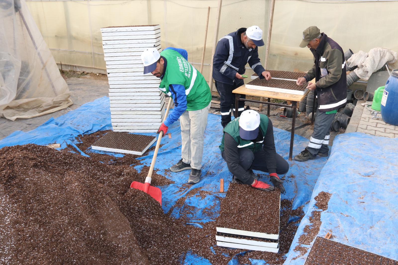 Van’da fide üretimi başladı