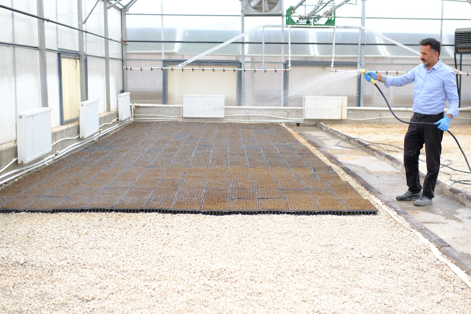 İpekyolu’nda 220 bin fide ücretsiz dağıtılacak