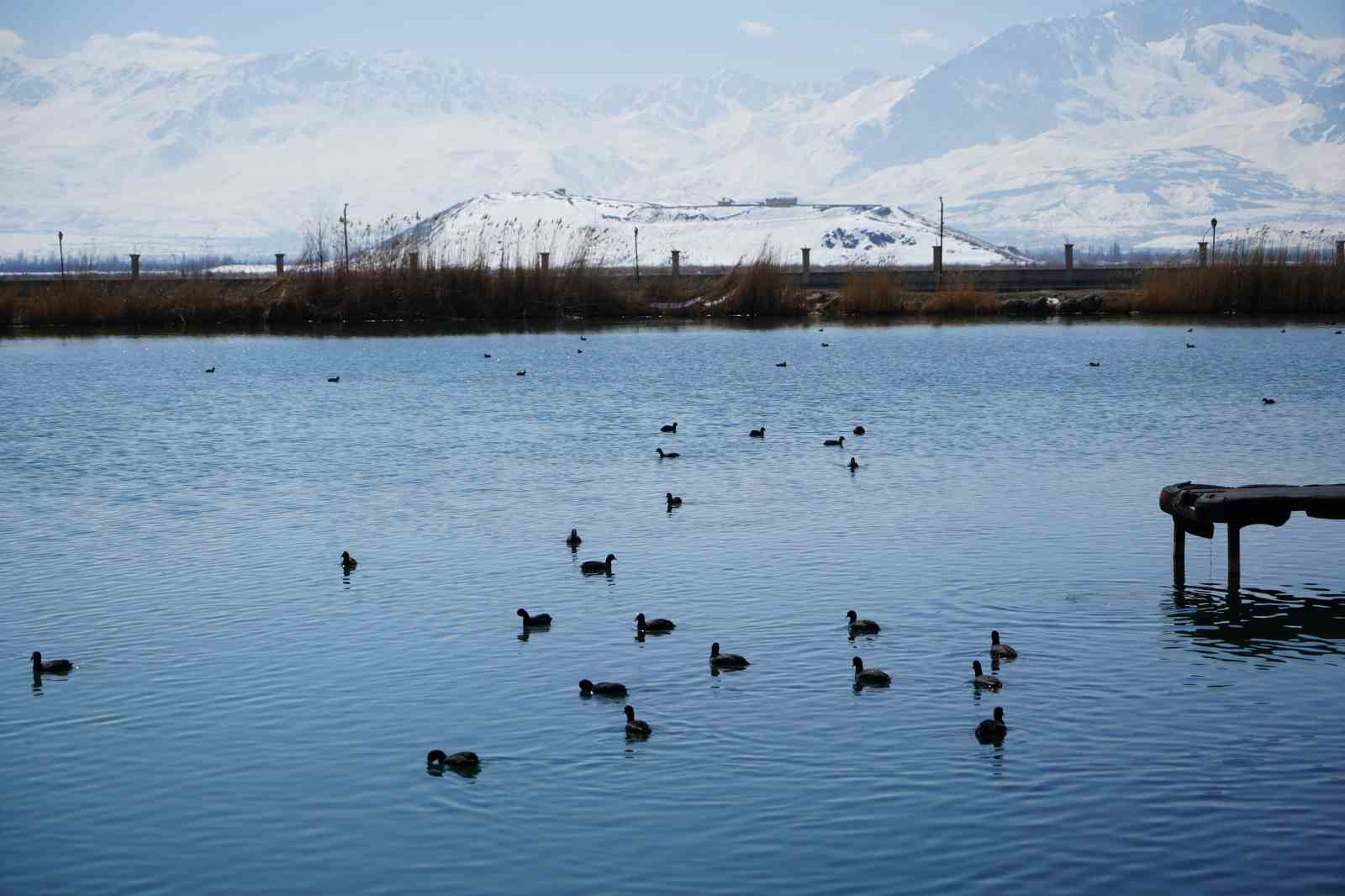 Ekşisu Sazlığı birçok kuş türüne ev sahipliği yapıyor