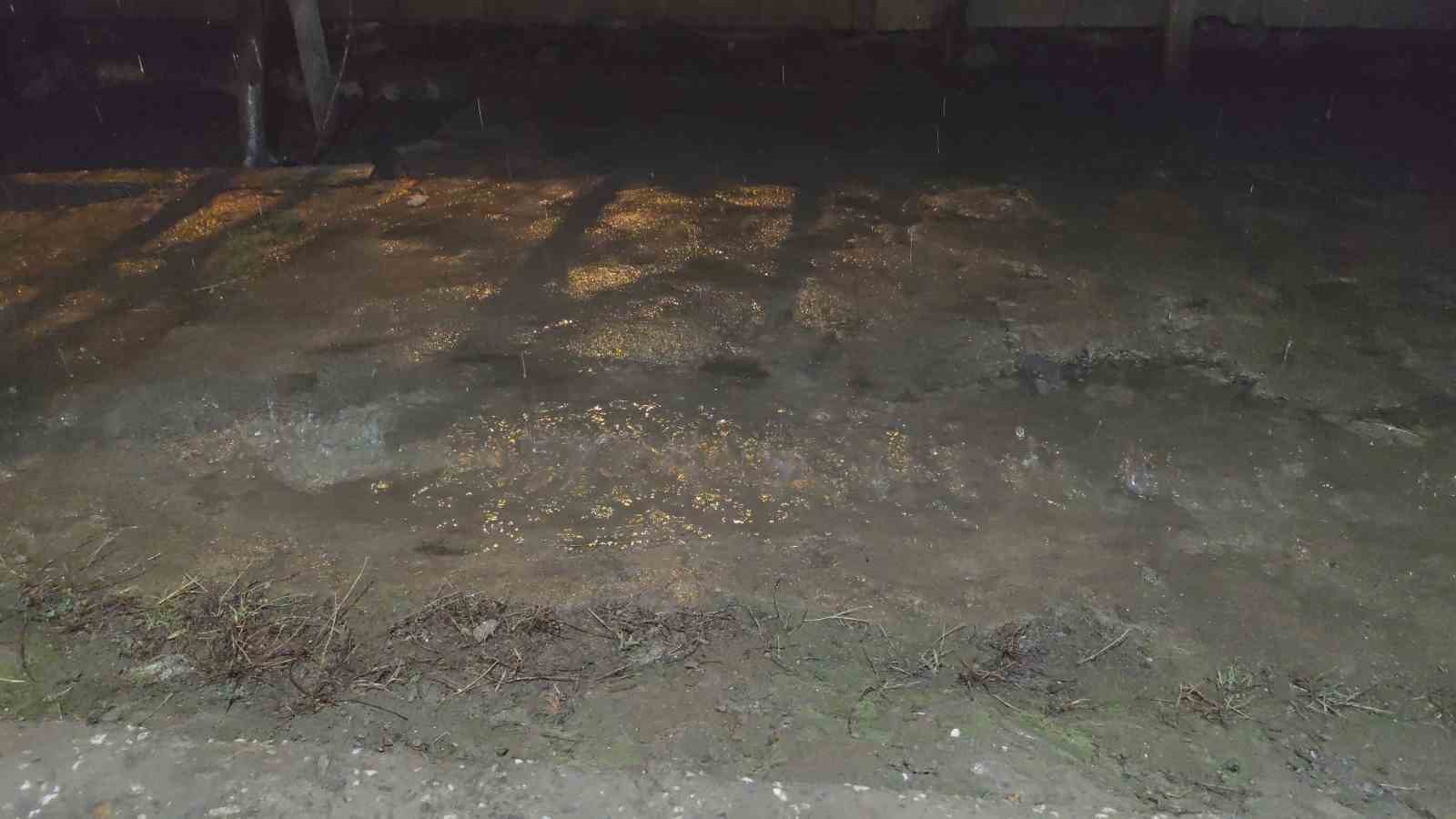 Erciş’te yağmur etkili oldu