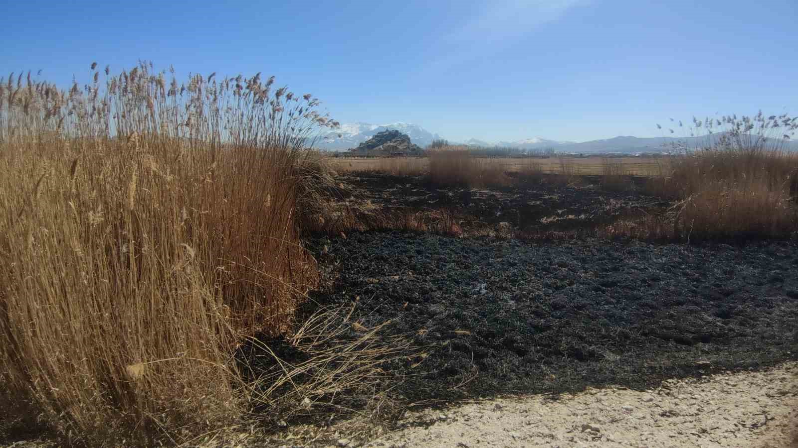 Van’da yaban kuşlarının barındığı sazlık alanda yangın