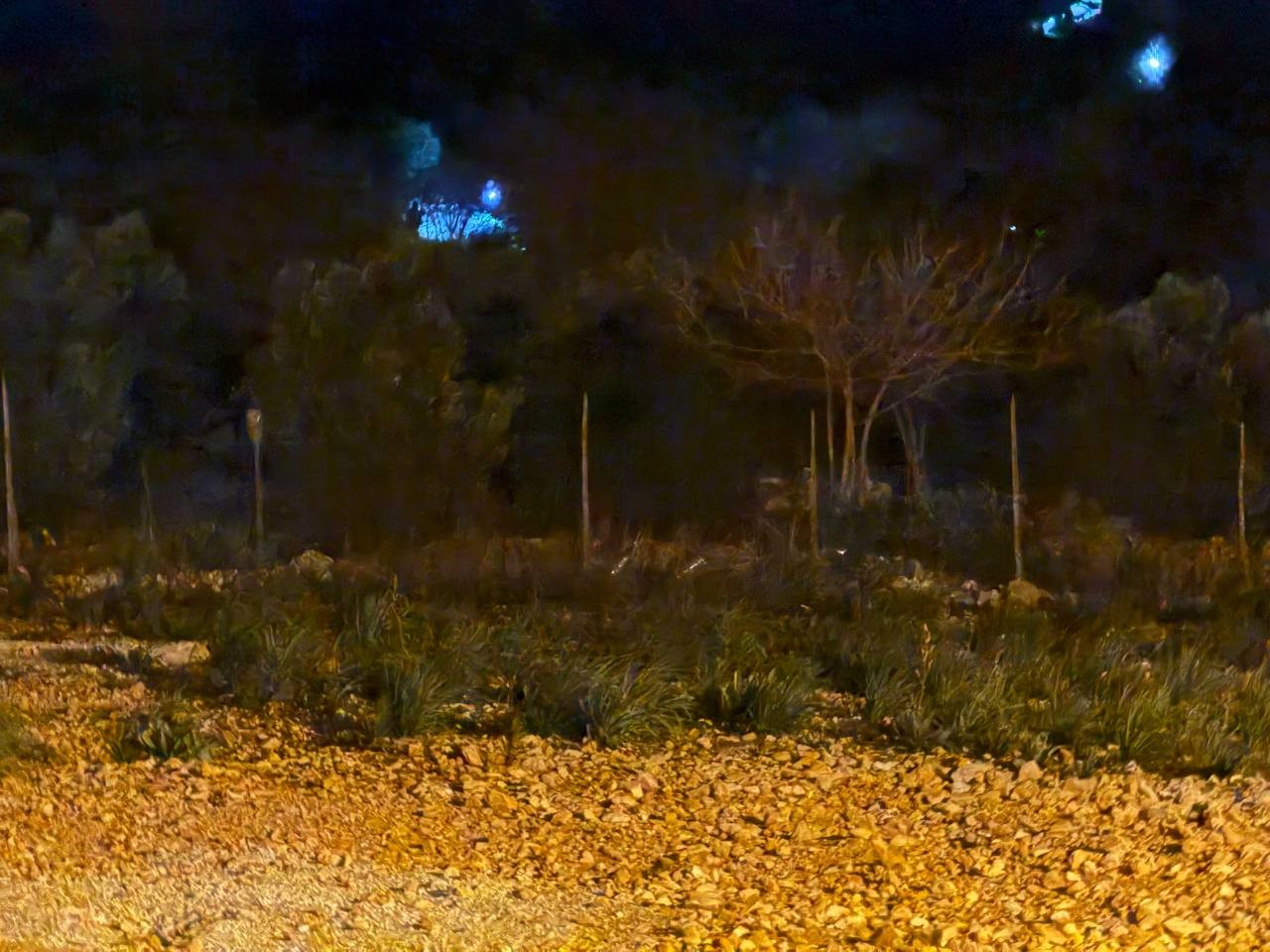 Kaybolan epilepsi hastası kadın 4 saat süren aramayla bulundu